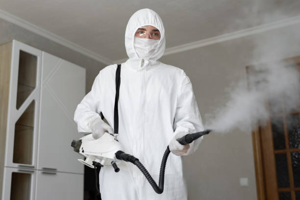 Baden, MD Mold Removal Company